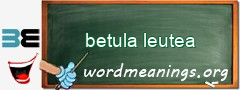 WordMeaning blackboard for betula leutea